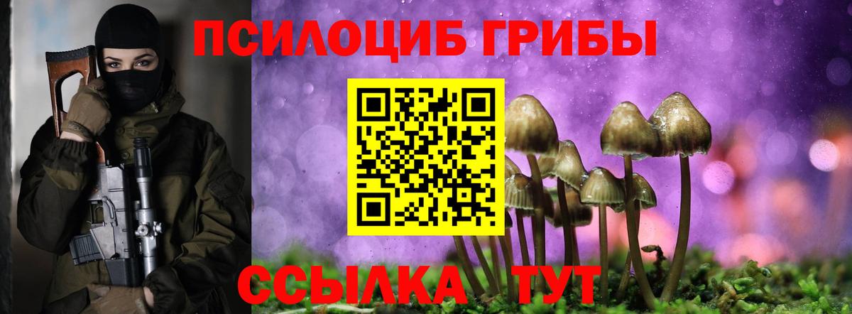 Псилоцибиновые грибы мухоморы  Вход с VPN  Гатчина 